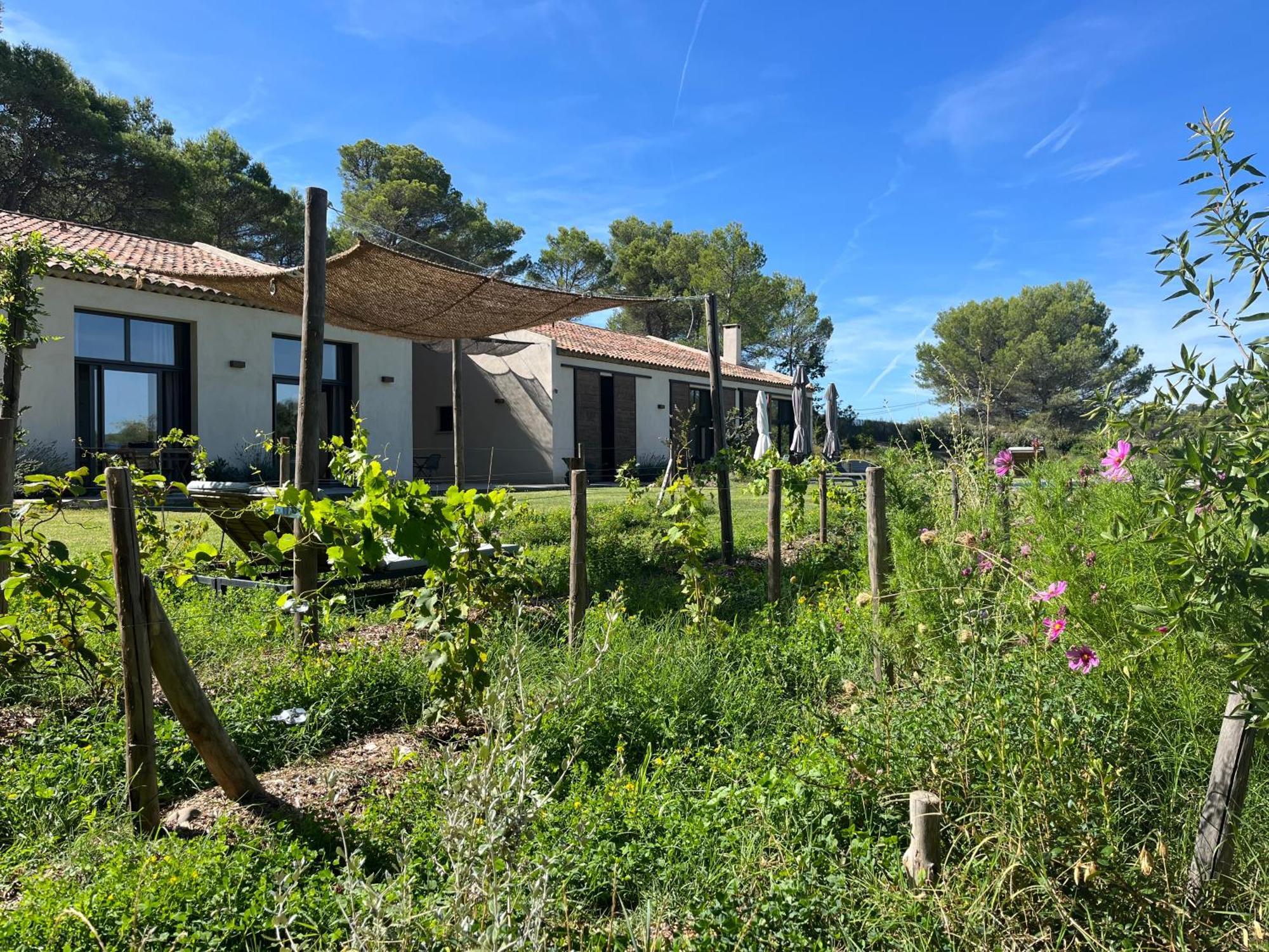 La Bergerie Du Roy-Chambres D'Hotes- Rognes Eksteriør billede
